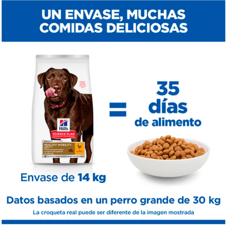 Hills Science Plan Canine Adult Healthy Mobility Raza Grande Pollo