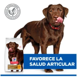 Hills Science Plan Canine Adult Healthy Mobility Raza Grande Pollo