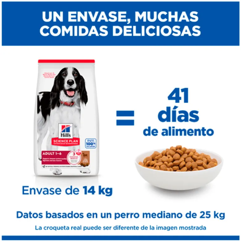 Hills Science Plan Canine Adult Medium con Cordero y Arroz