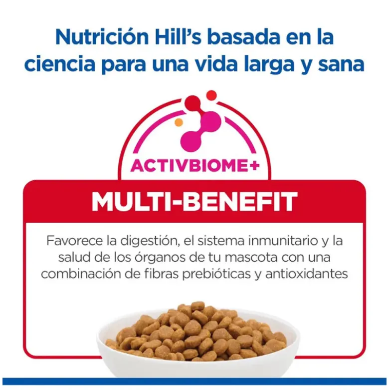 Hills Science Plan Canine Mature Adult 6+ Razas Grandes