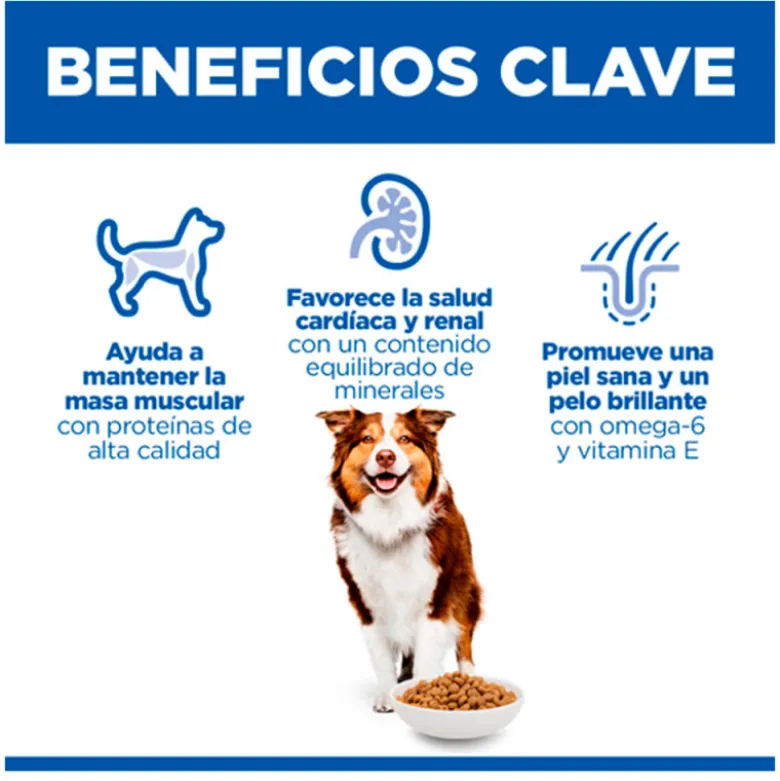 Hill's Science Plan Canine Mature con Pollo Razas Medianas