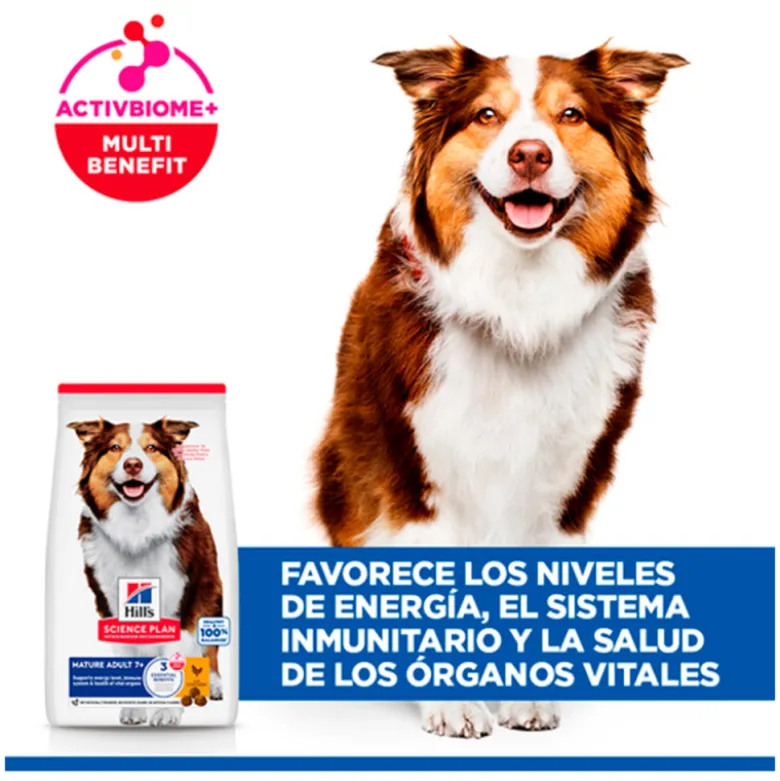 Hill's Science Plan Canine Mature con Pollo Razas Medianas