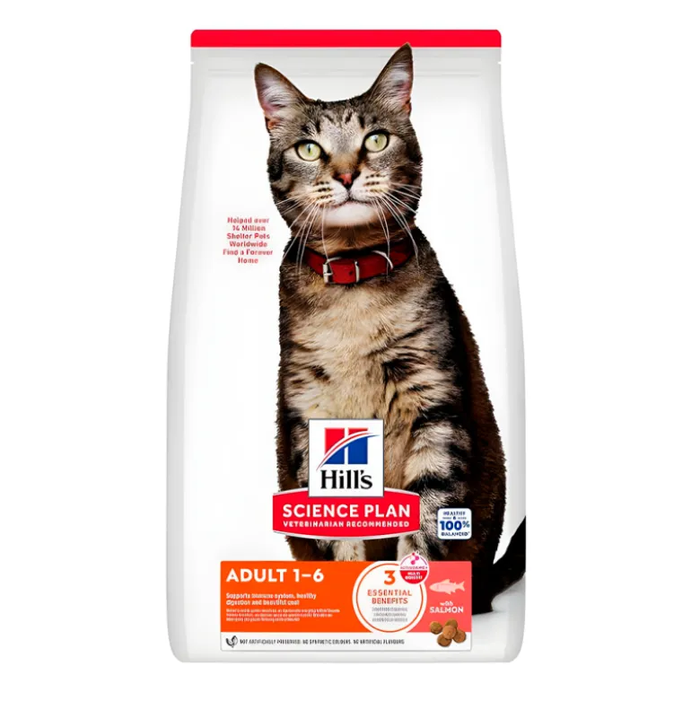 Hill's Science Plan Feline con Salmón