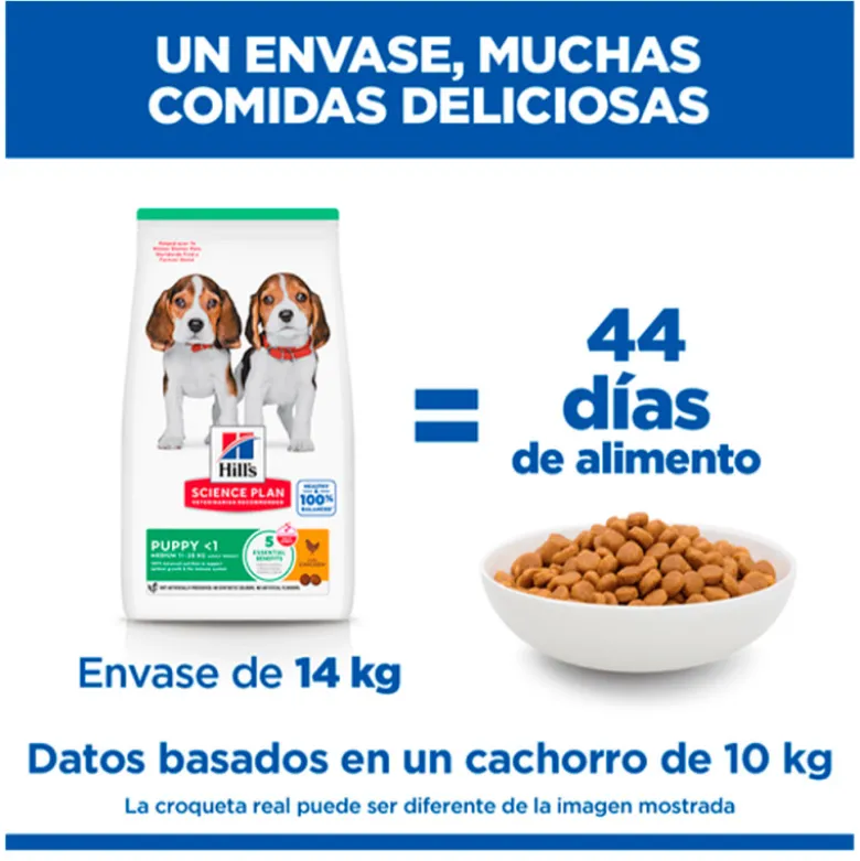 Hills Science Plan Puppy Razas Medianas Pollo