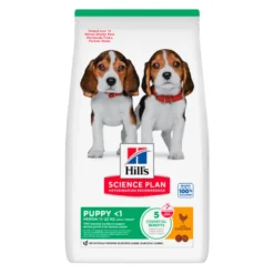 Hills Science Plan Puppy Razas Medianas Pollo