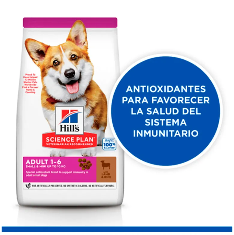 Hill ´s Science Plan Small & Mini Cordero y Arroz