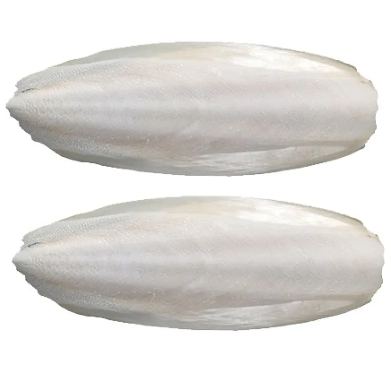 Hueso de Jibia Grande