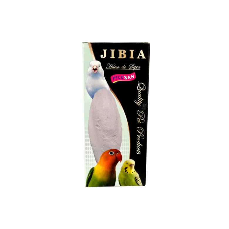 Hueso de Jibia Pequeño Con Soporte