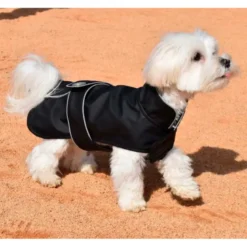 Impermeable Dancing Rain para Perros