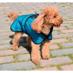 Impermeable Tormenta Perfecta Forro Polar para Perros