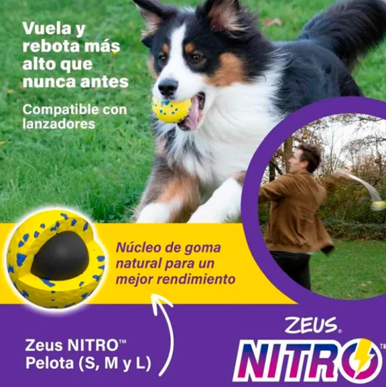 Juguete Zeus Nitro Bola Lastrada para Perros