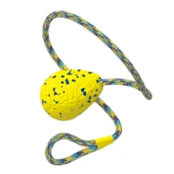 Juguete Zeus Nitro Pelota Lastrada con Cuerda para Perros