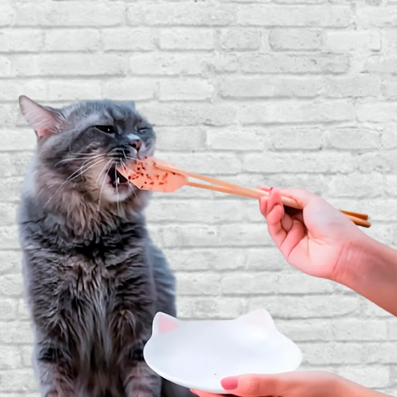 Kit Cat FilletFresh Atún y Pescado Ahumado para Gatos