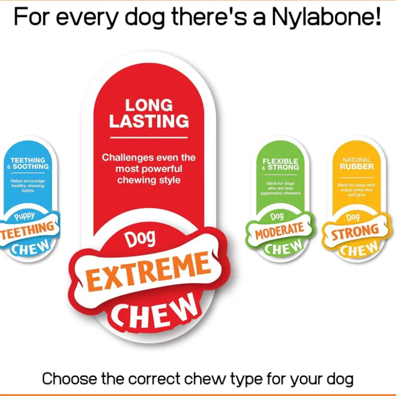 Nylabone Dog Extreme Pollo