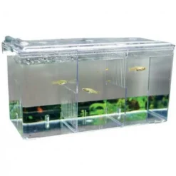 Paridera Con Oxigeno Nido 5 Hobby