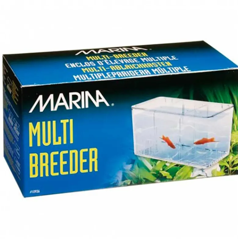 Paridera Marina Multiple