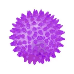 Pelota de Goma con Puntas para Perros