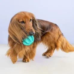 Pelota Dental Total Verde