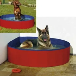 Piscina para Perros Adaptable
