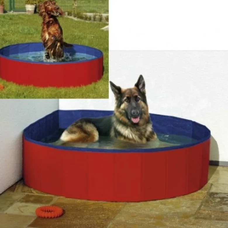 Piscina para Perros Adaptable