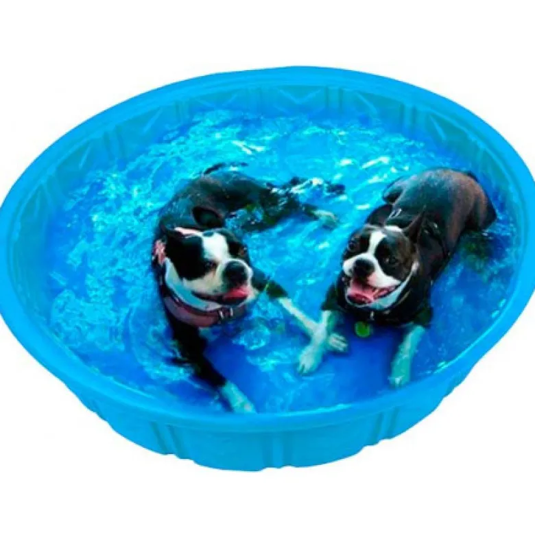 Piscina Splash Time de Plástico para Perros