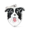 Placa Identificativa Border Collie