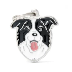 Placa Identificativa Border Collie
