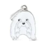 Placa Identificativa Perro Bichón Maltes