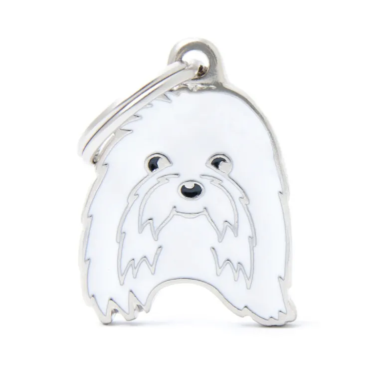 Placa Identificativa Perro Bichón Maltes