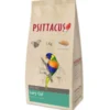 Psittacus Gel Lorys