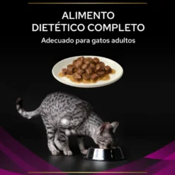 Purina Pro Plan Veterinary Diets Feline UR Salmón Sobre 85g