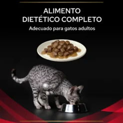 Purina Pro Plan Veterinary Diabetes Management DM Sobre 85g