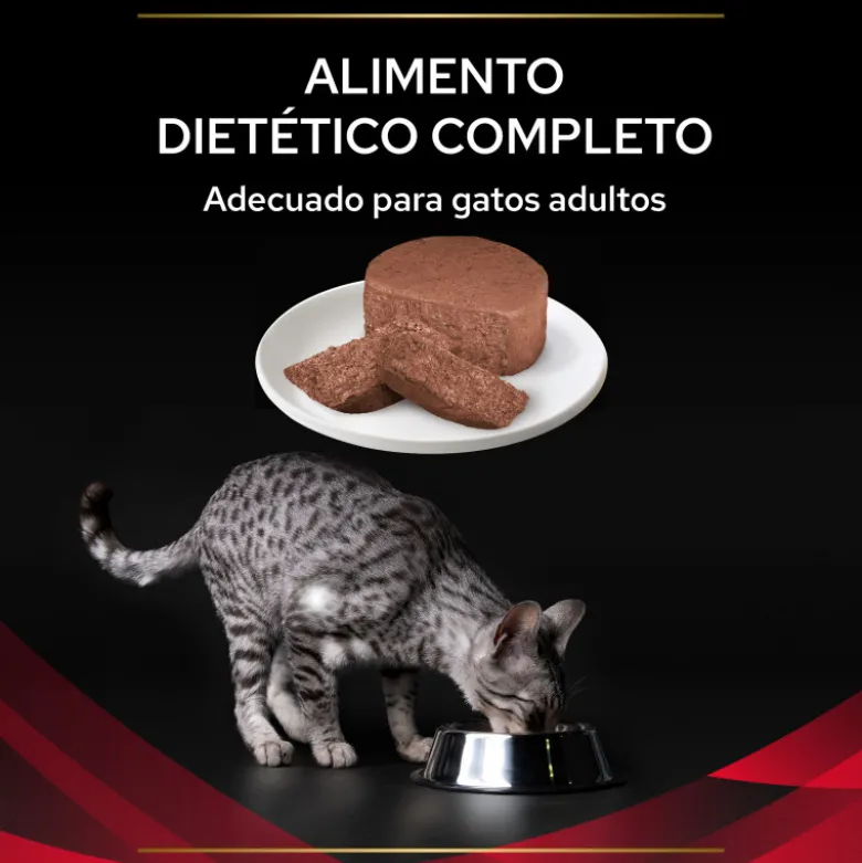 Purina ProPlan Veterinary Diet Feline DM 195gr