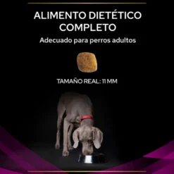 Purina Veterinary Diet Canine UR (Urinario)
