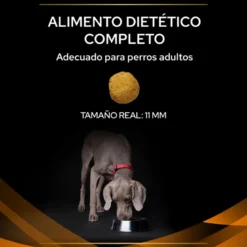 Purina Veterinary Diet OM Obesity Management