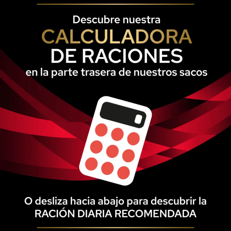 Purina Veterinary Diet Para Gatos DM (diabetes)