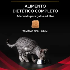 Purina Veterinary Diet Para Gatos DM (diabetes)