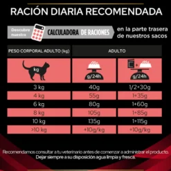 Purina Veterinary Diet Para Gatos DM (diabetes)