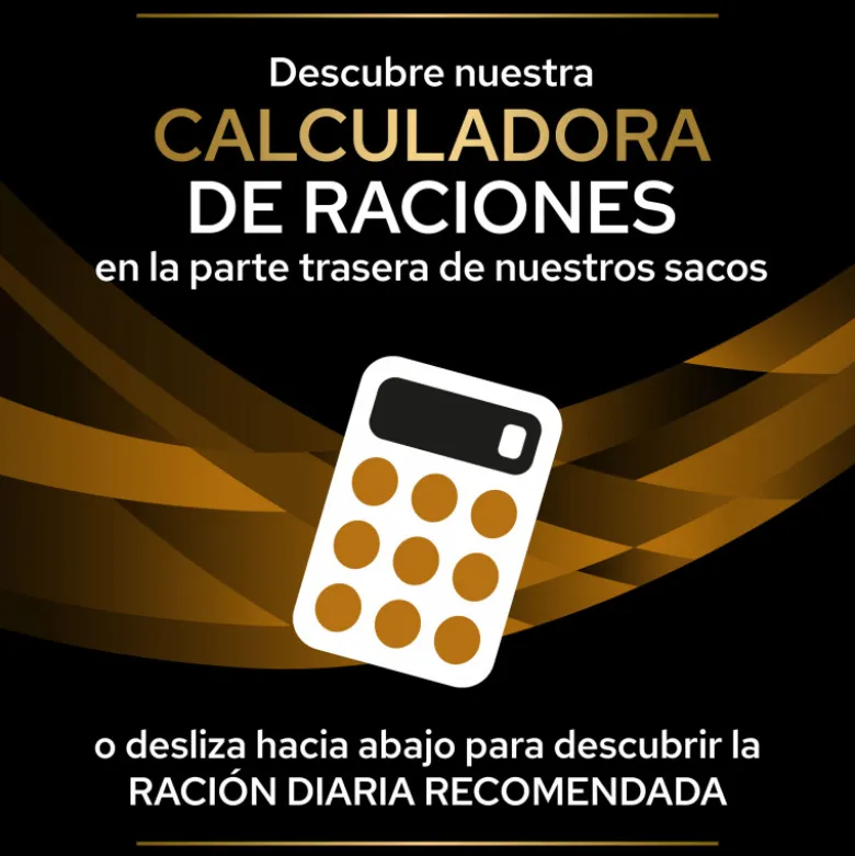 Purina Veterinary Diet Para Gatos NF Advance Care (Función Renal)