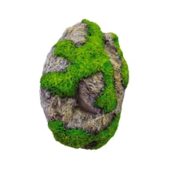 Roca con Ventosa Mediana