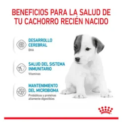 Royal Canin Babydog Milk