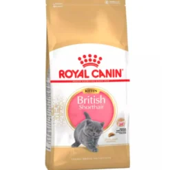 Royal Canin British Shorthair Kitten