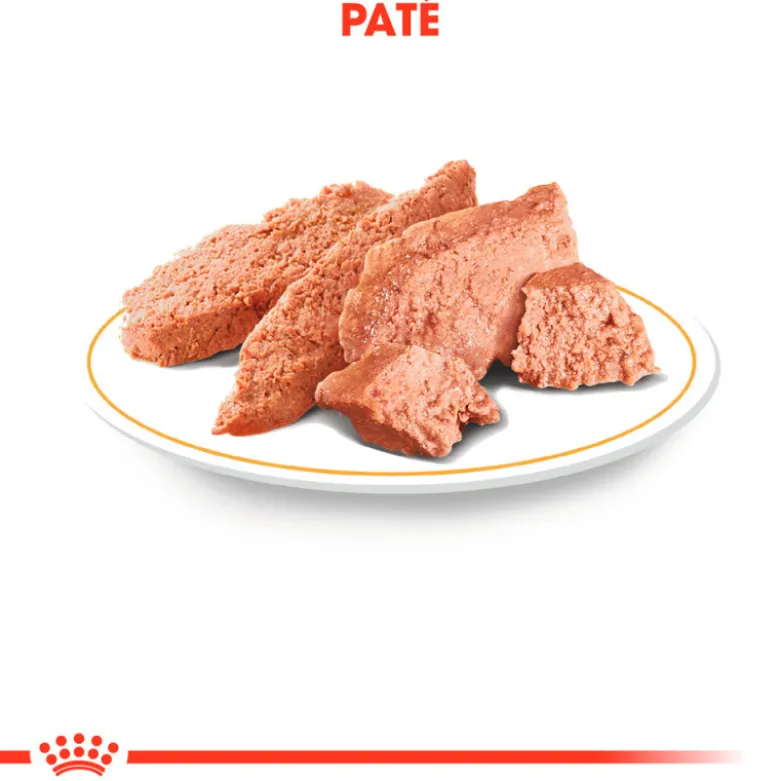 Royal Canin Caniche Poodle Adult Sobre 85g