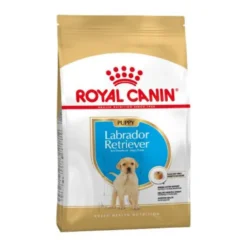 Royal Canin Labrador Retriever Puppy