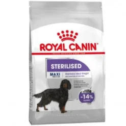 Royal Canin Maxi Sterilised