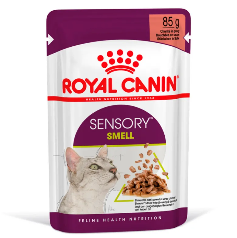 Royal Canin Sensory Smell en Salsa para Gatos 85g