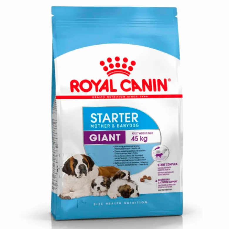 Royal Canin Starter Giant