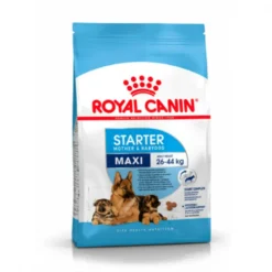 Royal Canin Starter Maxi