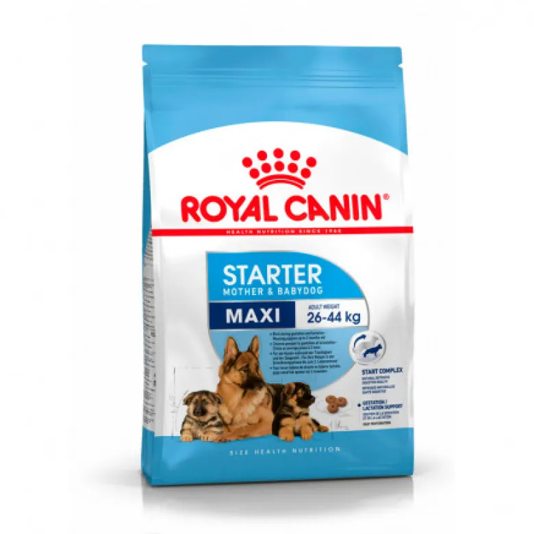 Royal Canin Starter Maxi