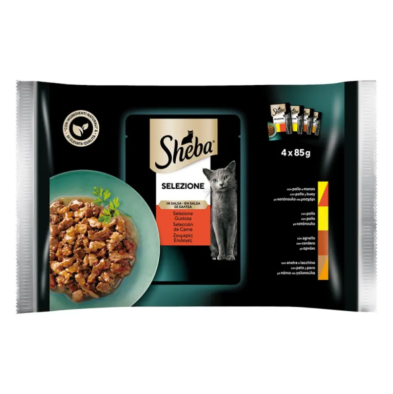Sheba Cuisine Seleccion Carnes